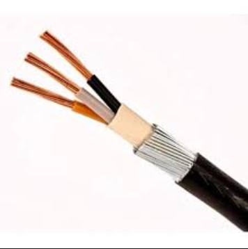 NCI Armoured Cable (Sold per Meter), 2 or 3 Core XLPE Insulated SWA Armoured PVC Sheathed – Heavy Duty LV Power Cable for Industrial Feeds, Outdoor Runs & Mechanical Protection